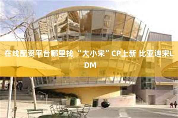 在线配资平台哪里找 “大小宋”CP上新 比亚迪宋L DM