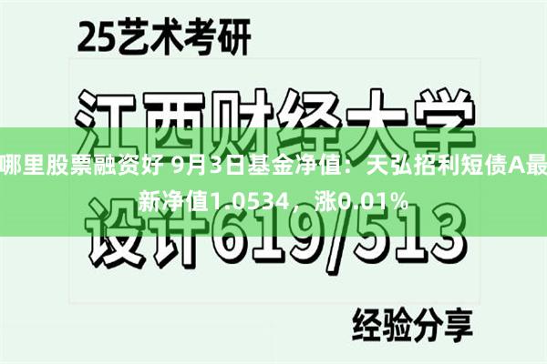 哪里股票融资好 9月3日基金净值：天弘招利短债A最新净值1.0534，涨0.01%