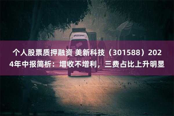 个人股票质押融资 美新科技（301588）2024年中报简析：增收不增利，三费占比上升明显