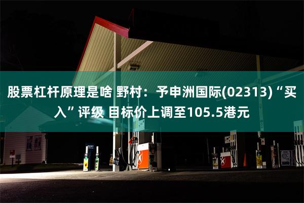 股票杠杆原理是啥 野村：予申洲国际(02313)“买入”评级 目标价上调至105.5港元