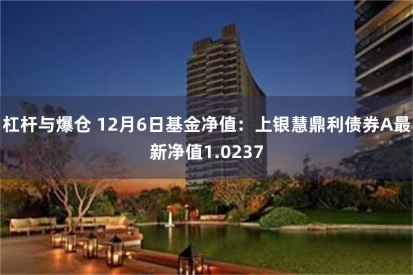 杠杆与爆仓 12月6日基金净值：上银慧鼎利债券A最新净值1.0237