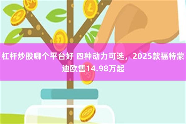 杠杆炒股哪个平台好 四种动力可选，2025款福特蒙迪欧售14.98万起